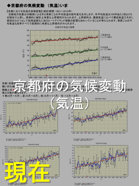 京都府の気候変動（気温）現在