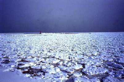 稚内市東浦に接岸した流氷