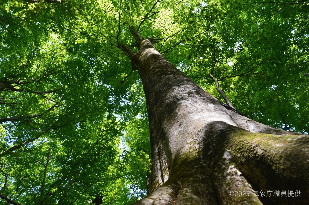 詳細編のイメージ