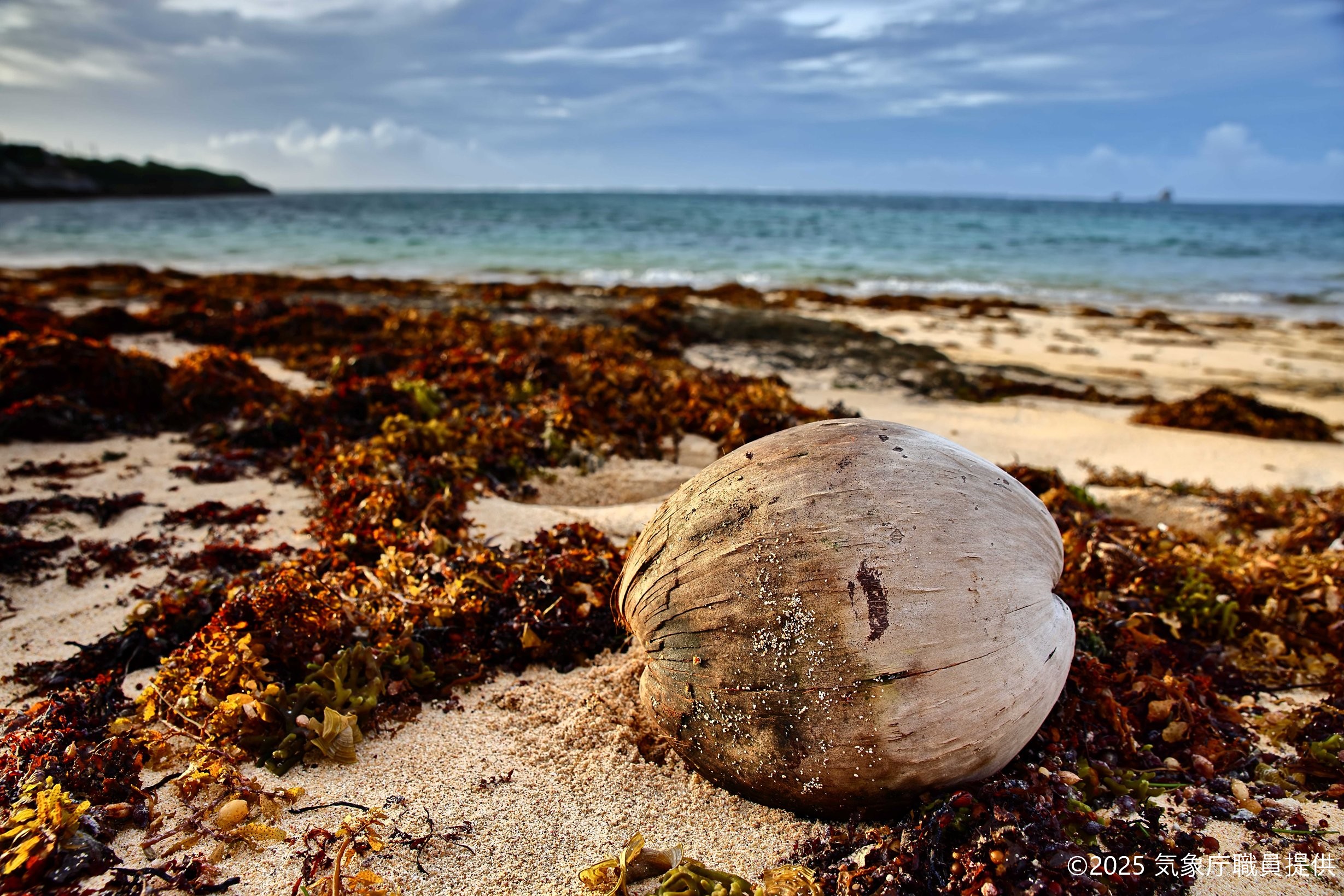 コラムのイメージ