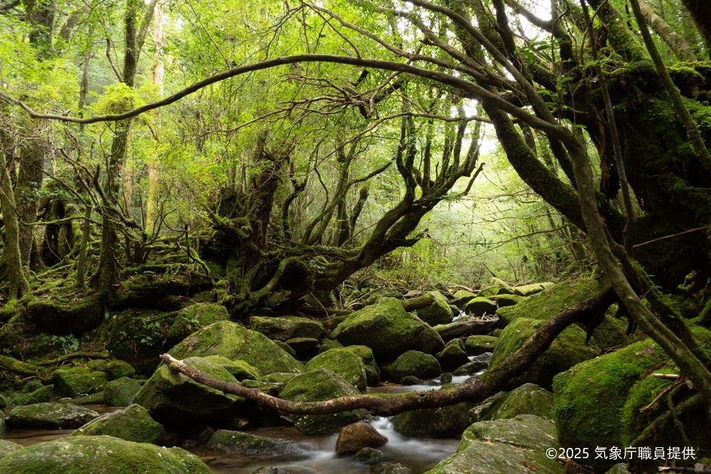 巻末のイメージ