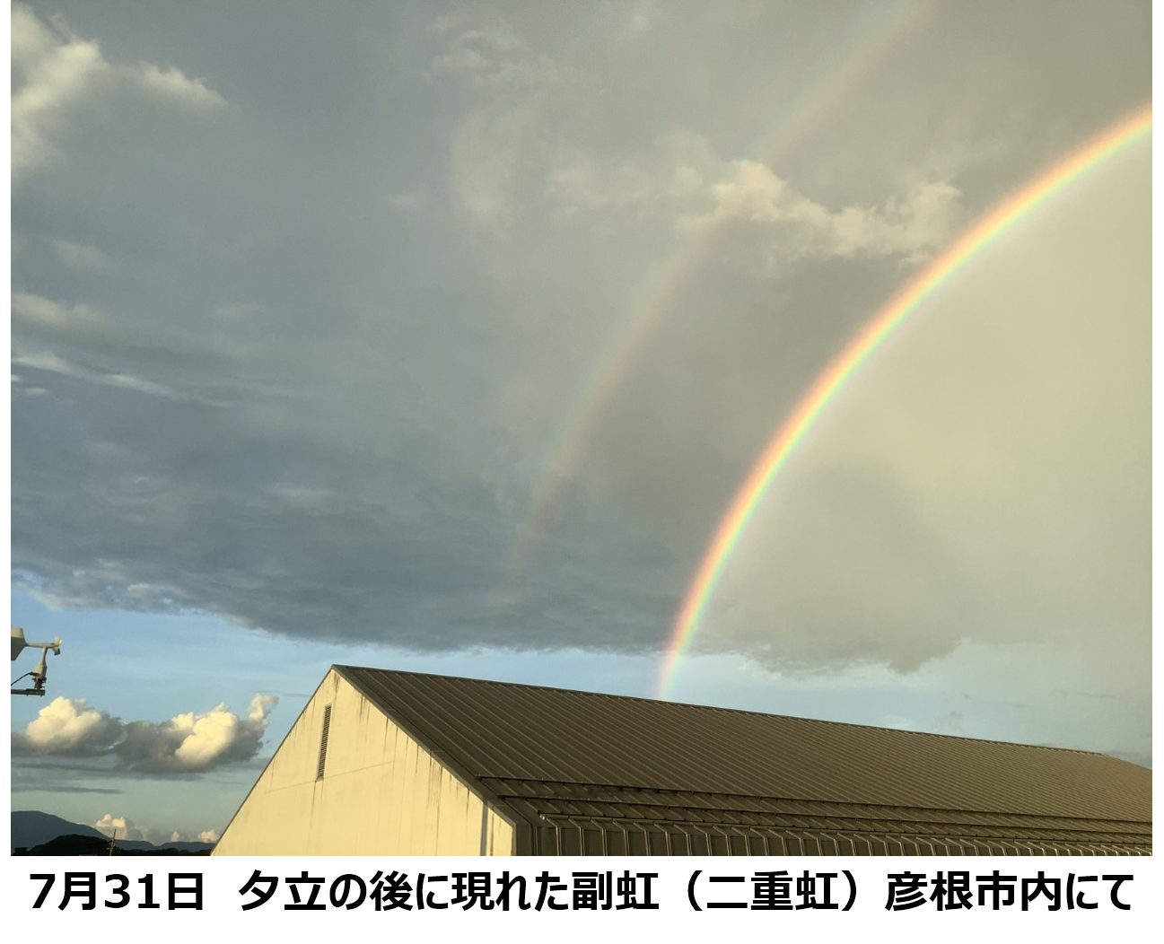 虹