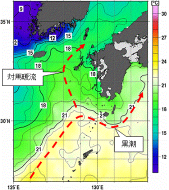 九州・山口県周辺海域 旬平均海面水温(2010年12月21日~31日平均)
