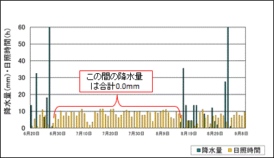名瀬の日照時間と降水量（2013年6月下旬～9月上旬）