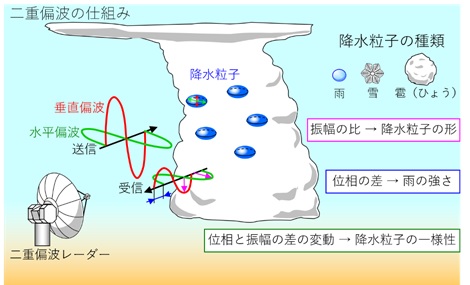 二重偏波のしくみ