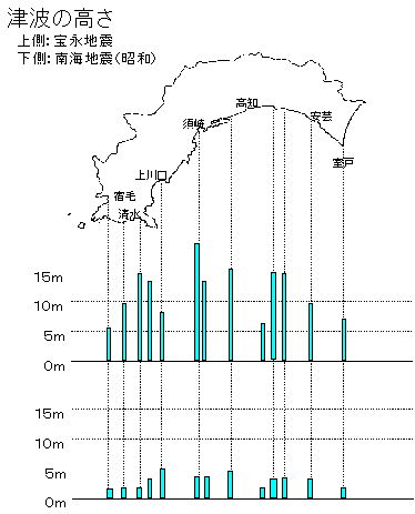 津波の高さ