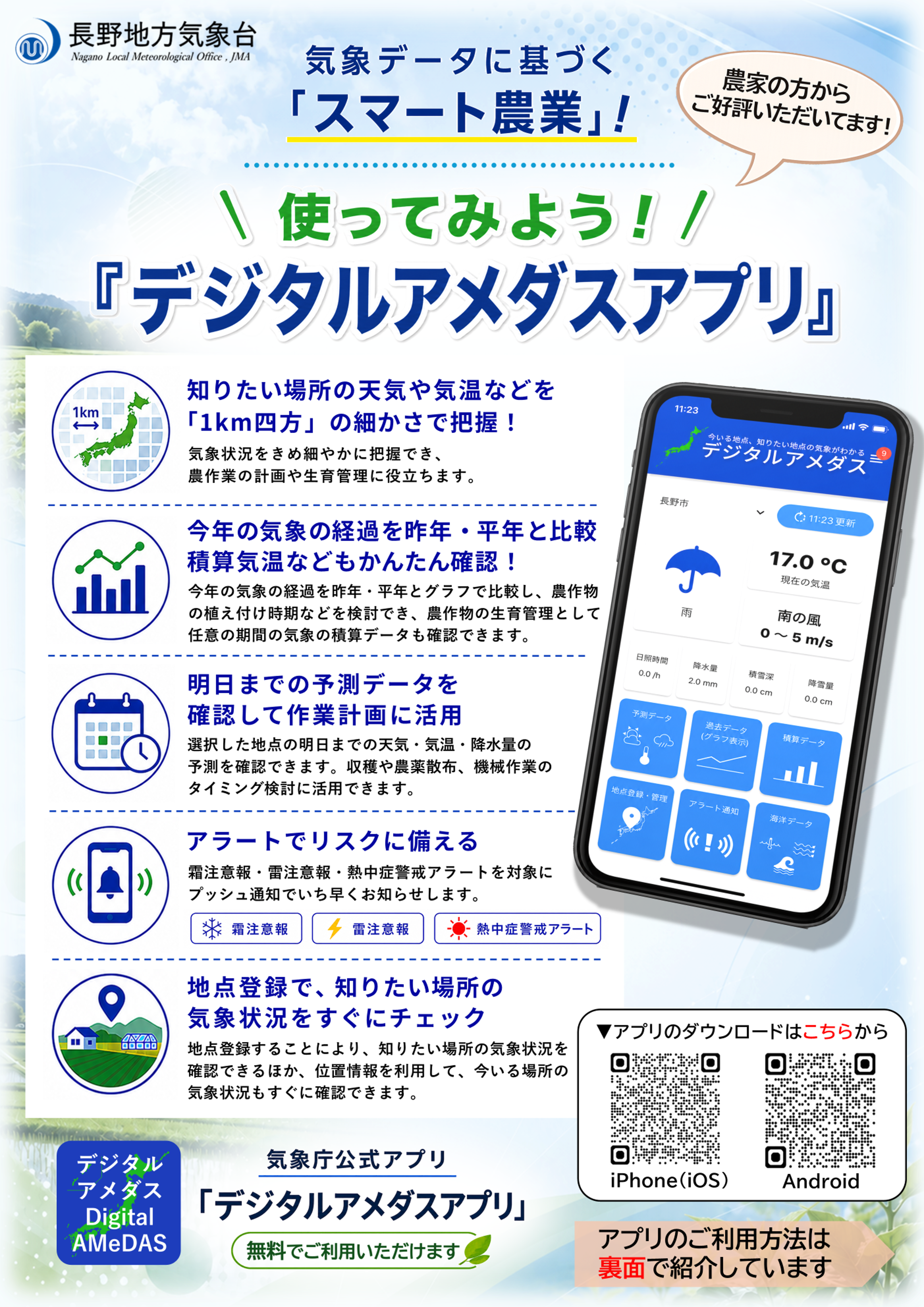 チラシ表面