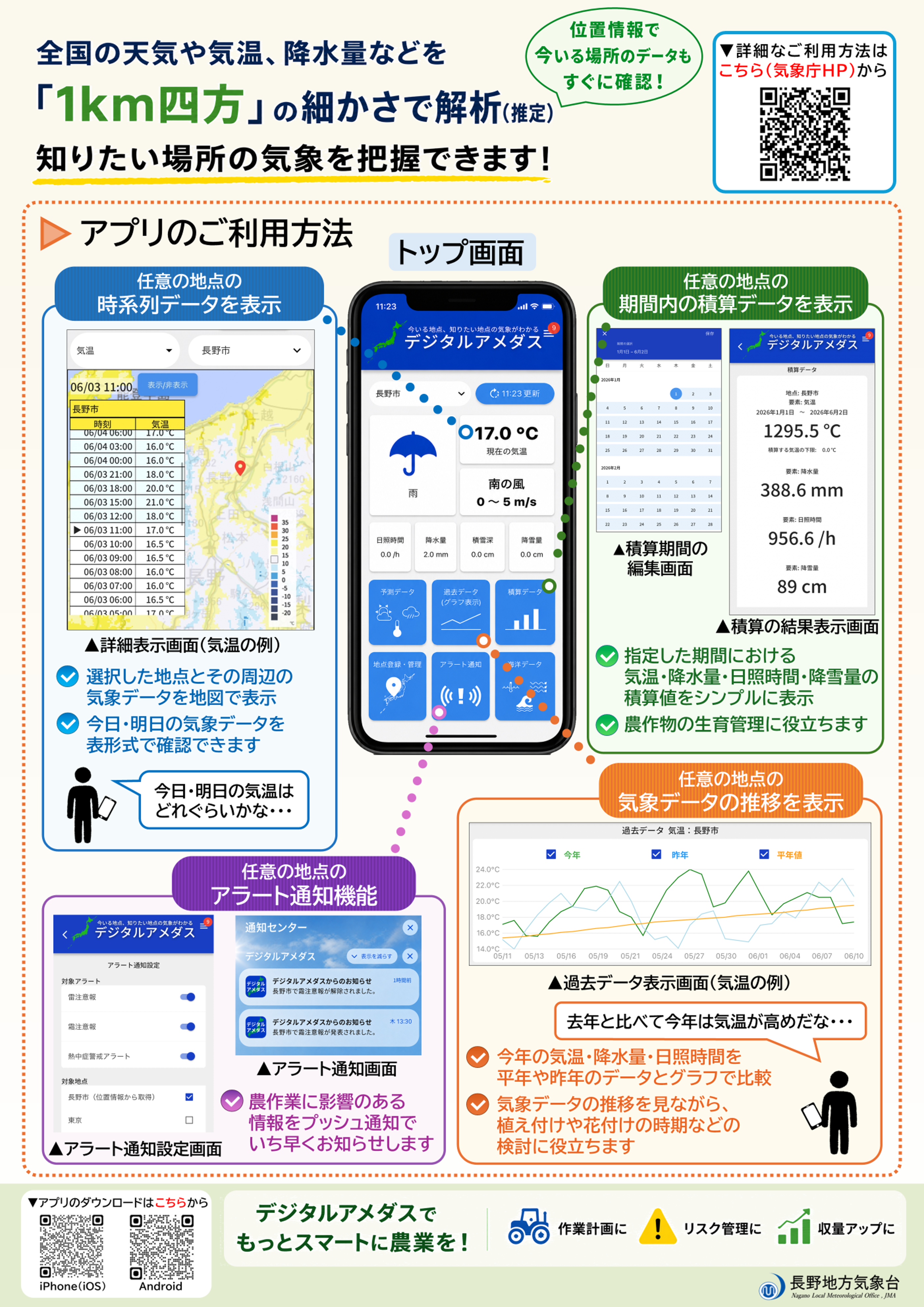 チラシ裏面