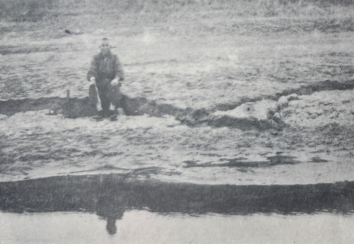 片桐村田中(現大和郡山市田中町)小南池(現西池)内の亀裂