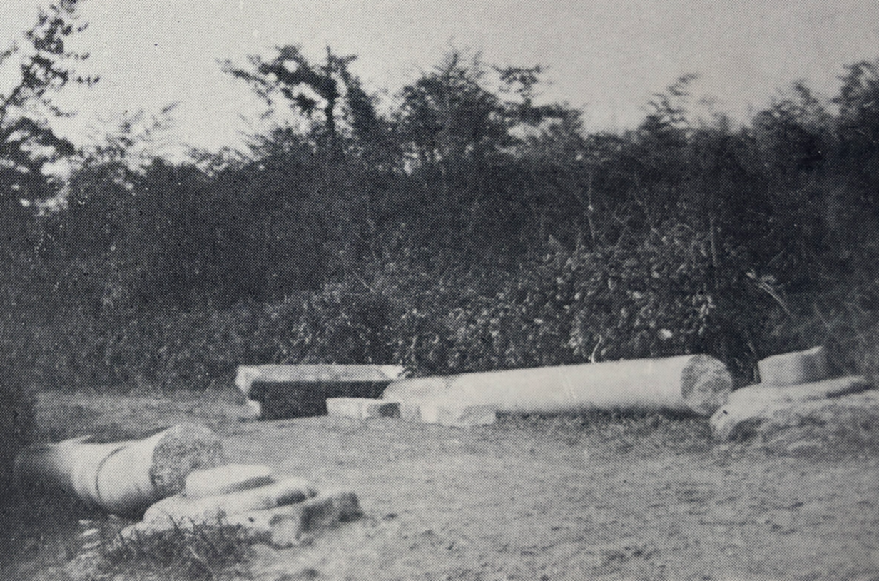 片桐村万願寺(現大和郡山市万願寺町)、神社の鳥居倒壊(真西に倒る)