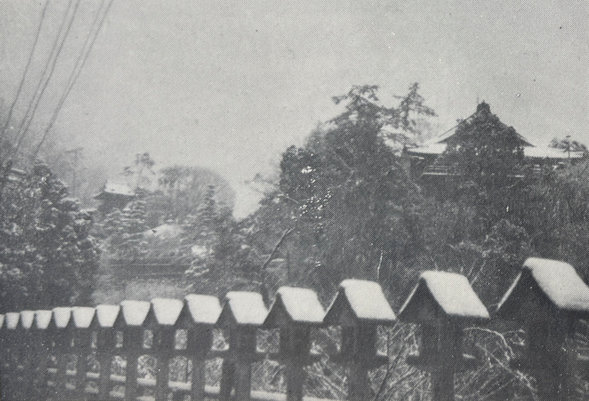 信貴山灯籠一つも倒れぬ状