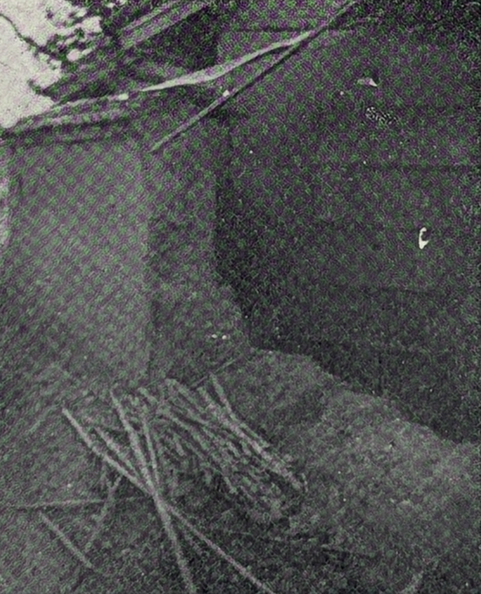 瀬南村(現広陵町)南郷西外れの土塀(厚さ40cm、長さ4m、高さ約2m)西側へ倒壊す