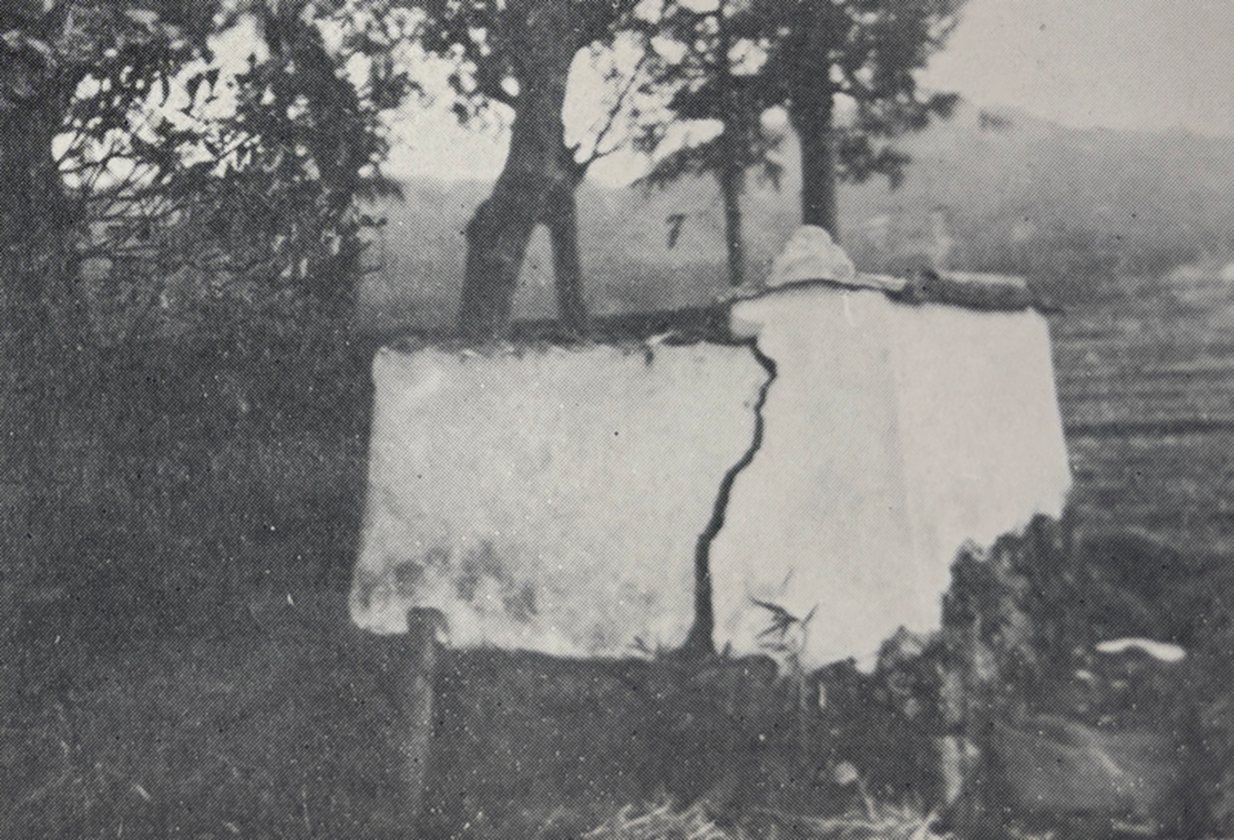 当麻村(現葛城市)今在家、神社の塀損傷
