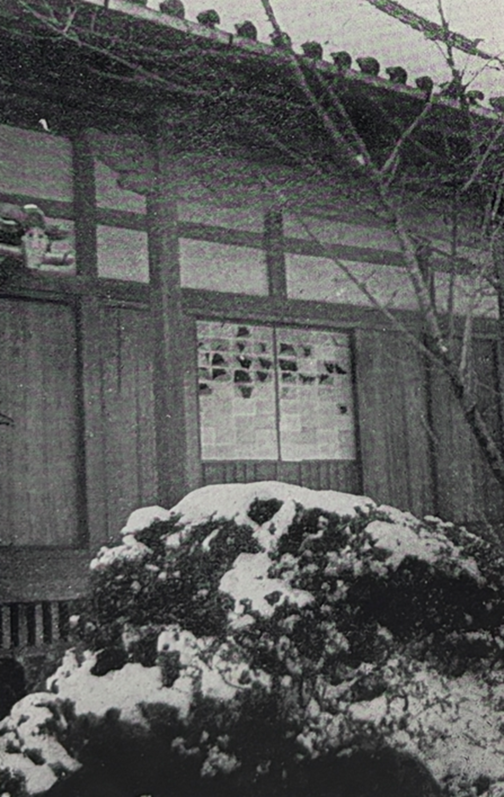 磐城村(現葛城市太田)如意蓮生院本堂障子紙の破れ