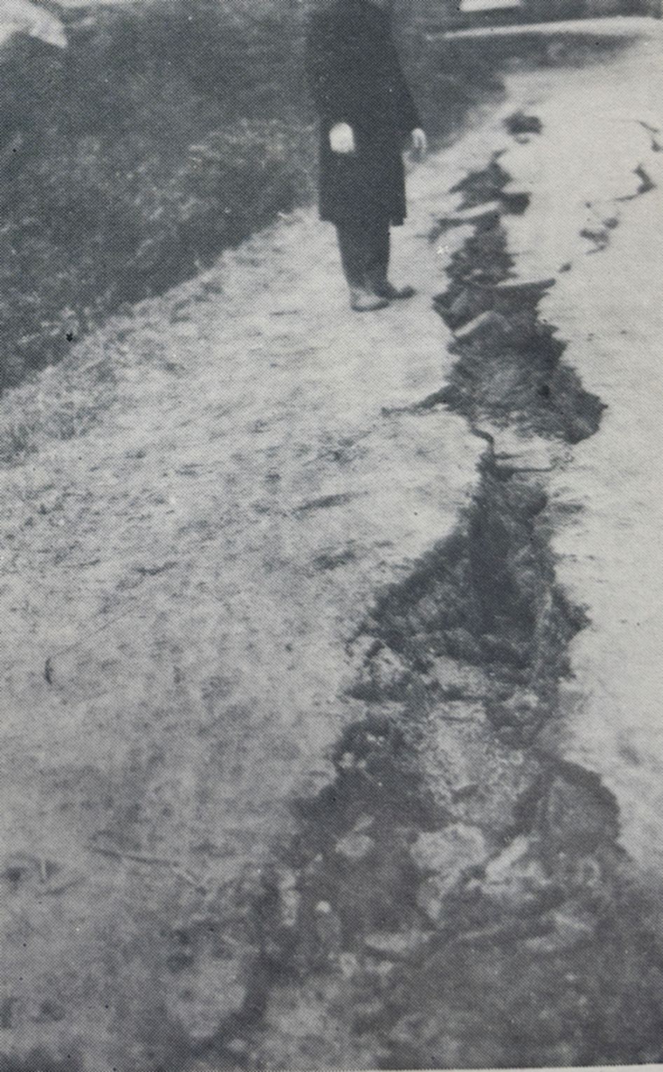 葛城川堤防の亀裂