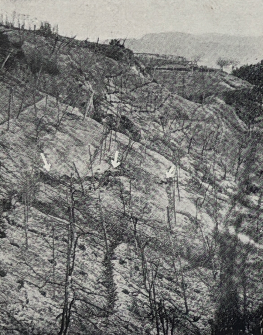 飛鳥(現明日香村)北西山麓葡萄畑の地すべり亀裂