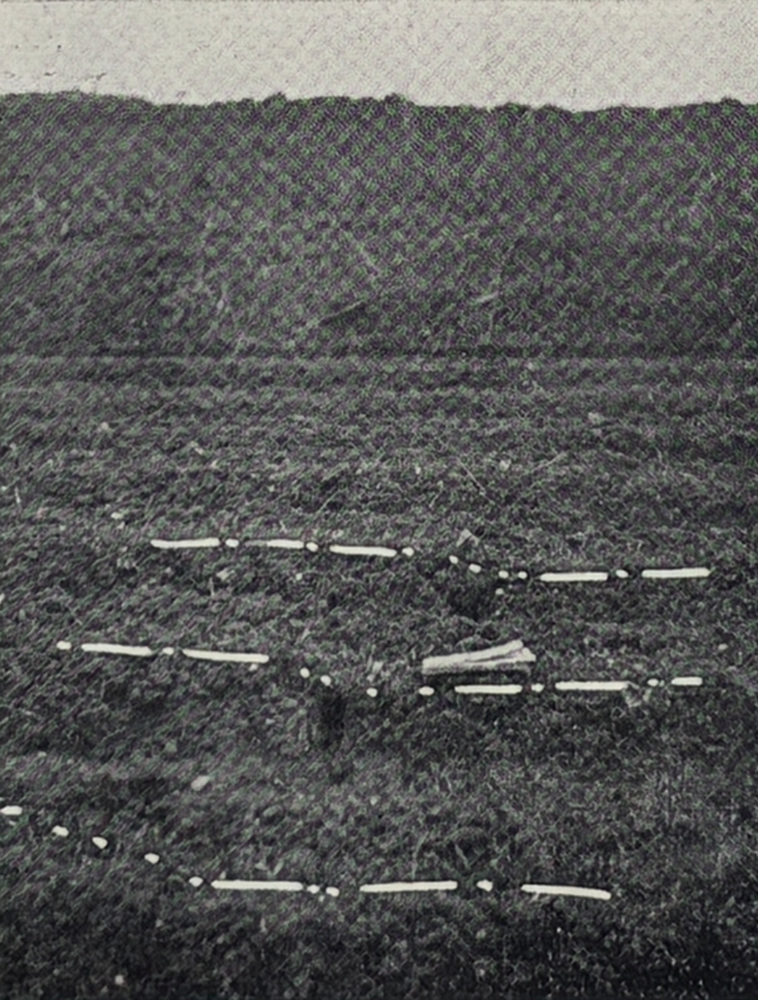 飛鳥(現明日香村)北西麦田の中の亀裂金剛砂採取地跡を又土を入れて田とした所