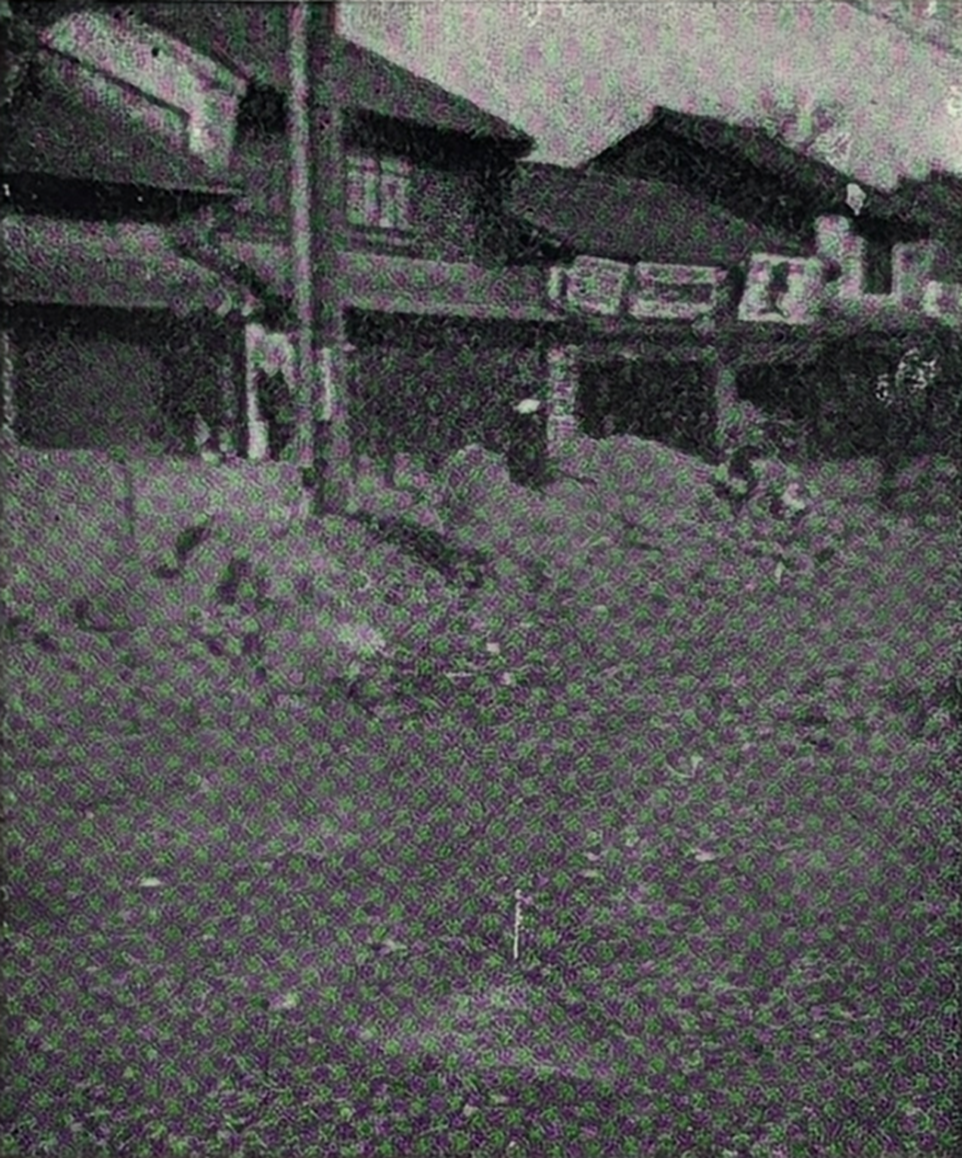 高田町(現大和高田市)の土塀(高さ約2m、長さ10m、厚さ40cm)東へ倒壊