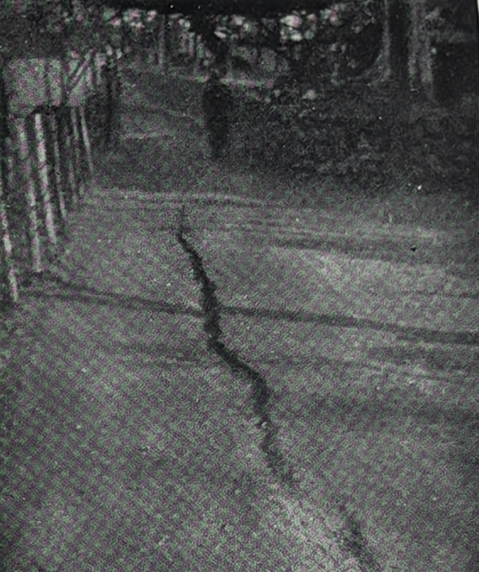 高田公園池畔道路の亀裂(方向は南北で幅3cm、長さ6m)