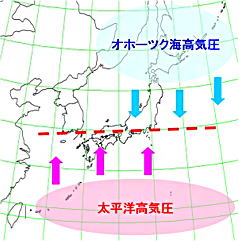 梅雨時期の気圧配置