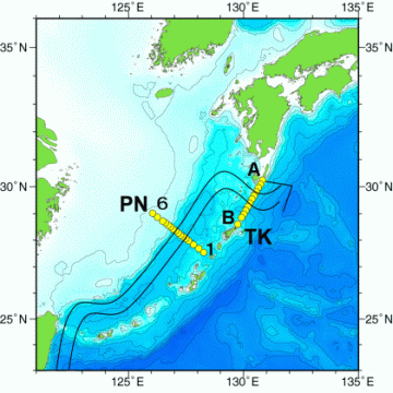 東シナ海の黒潮の流れと海洋観測定線の位置