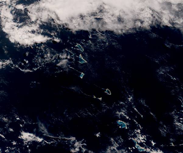 リアルタイム画像