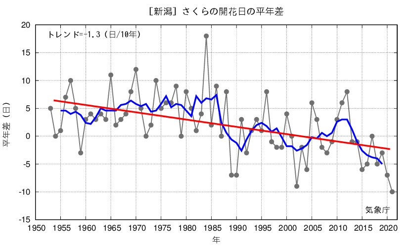 さくら開花日