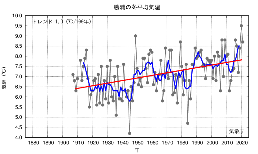 勝浦_冬平均気温