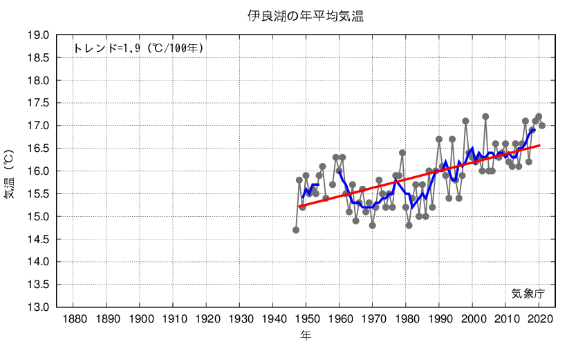 伊良湖_年平均気温