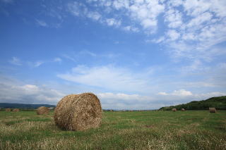 牧草ロールと夏の空の写真