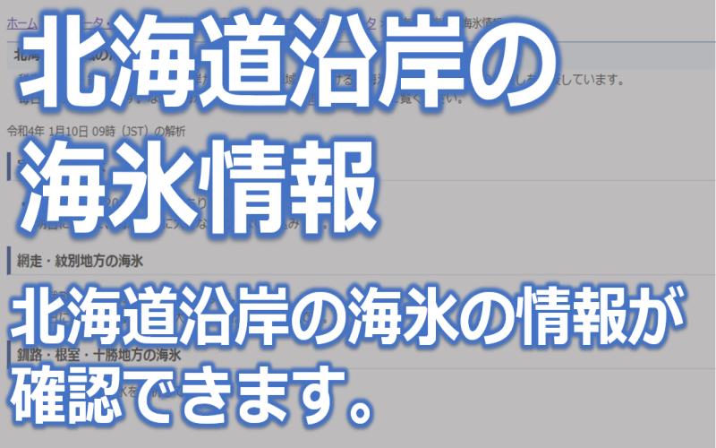 北海道沿岸の海氷情報